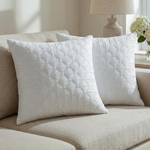 Image of AYKA Microfiber Cushion Filler Set of 2 (24x24 Inch) | Soft & Fluffy Sofa Cushions Inserts | Premium Polyester Fiber Throw Pillows for Sofa, Couch, Bed & Living Room Decor | White
