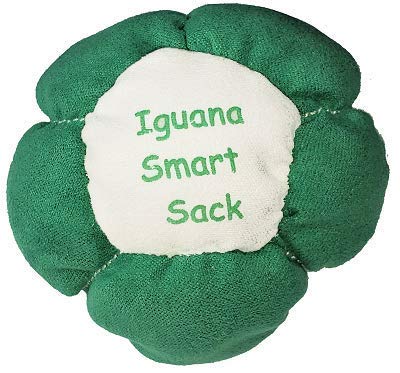 Smart Sack Iguana