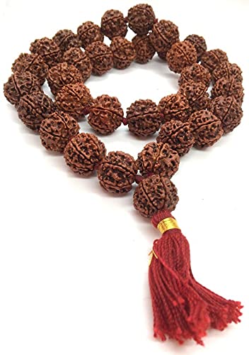 Mautik Sadiwala 6 Six Mukhi Ruraksha Collector Mala- Collector 32 +1 Rudraksha Beads - Hand knotted Mala Kantha - Premium Rudraksha Mala - 6 Face Rudraksh (6 Mukhi rudraksha mala nepal) (B093MNZ8BJ) Amazon Price History, Amazon Price Tracker