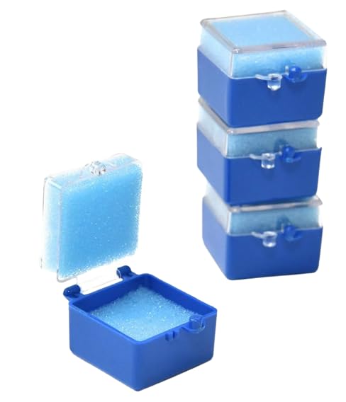 100/Bx Dental Crown & Bridge Box with Clear Lid Insert Foams Dental Crown and Bridge Tooth Boxes 1"- 2" Size (1")