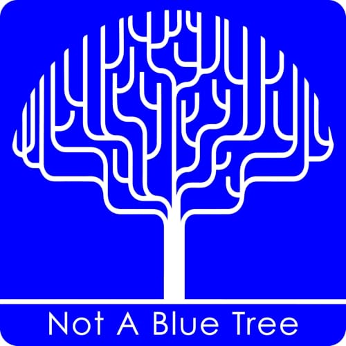 『Coaching from Not A Blue Tree』のカバーアート