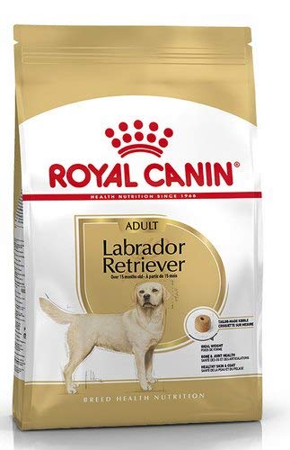 ROYALCANIN Labrador Adult 12KG (B076GL11Y4) Amazon Price History, Amazon Price Tracker