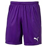 Relaxed Fit Puma Herren Liga Shorts Core with Brief Hose, Prism Violet White, L