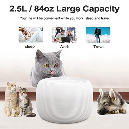 Fuente automática para agua de gatos 2.5L con luz LED miniatura 2