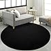 FlyDOIT Round Area Rugs for Bedroom Living Room, 4x4 Black Super Soft Comfy Thickened Memory-Foam Indoor Circle Carpet, Modern Aesthetic Minimalist Carpet for Boys Girls Adults Nursery Home Décor