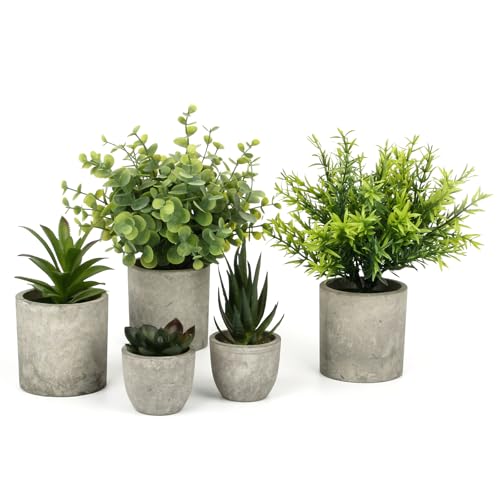 ZUPAPJO 5 Stück Kunstpflanze, Kunstpflanze mit Topf, Plastikpflanzen Enthält Eukalyptus, Rosmarin und Sukkulenten, für Hochzeiten, Büros, Balkon, Wohnzimmer, Schreibtisch und Badezimmer