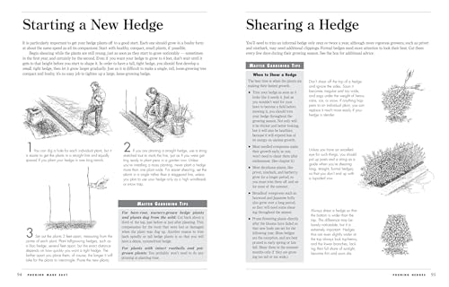 Pruning Made Easy: A Gardener's Visual Guide to When and How to Prune Everything, from Flowers to Trees (Storey's Gardening Skills Illustrated Series) - Image 4