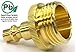 Winterize Blow Out Adapter for RV, Boat, Motorhome, Camper, and Travel Trailer: Air Compressor Quick-connect Plug to Male Garden Hose Faucet Fitting (Solid Lead-Free Brass)