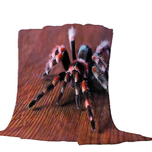 Couverture araignée 3D pour vos soirées cocooning et déplacements - 5