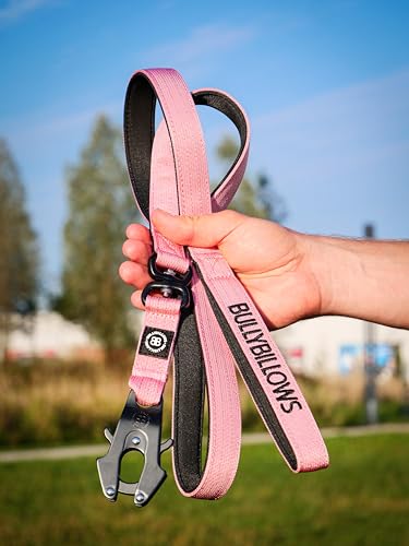 BullyBillows Schwenkbare Kampfhundeleine | Gepolsterter Griff für leichtere Spaziergänge | Anti Tangle & Druckgetestete Hundeleine | Geeignet für alle Hunderassen - Rot