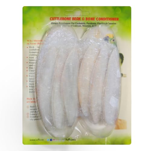 PHCOZY 6 Pcs Osso di Seppia,Osso di Seppia per Pappagalli,Osso
