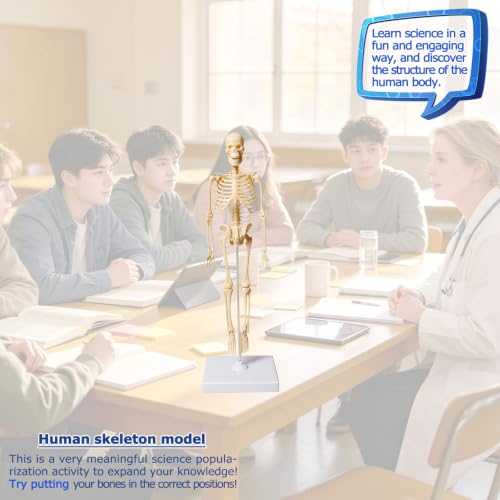 Image of Mini Human Skeleton Model,Skeleton Teaching Model,Easy to Assemble, Removable Spine Whole Body for Study Teaching Demonstration