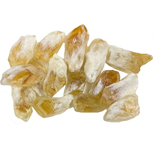 YUYAKESHIA}Xg[ NX^ A}ICp NH[c CeA   [XXg[ VR z Vg  10~15(obN{[^2-3CME100G)