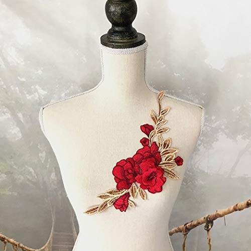 情熱的で印象的な赤の薔薇モチーフのラテンセットアップ 情熱的で印象的な赤の薔薇モチーフのラテンセットアップ ラテン