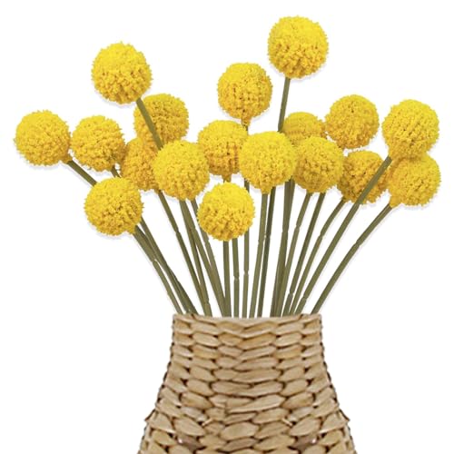 Wekuw 18 Stücke Billy Bälle Kunstblumen, Trockenblumen, Craspedia Globosa Getrocknete Blumen, Künstliche Blumen, Senfgelb Deko für Hochzeit Party Tischdeko Fotografie Requisiten Dekoration