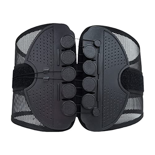 Worparsen Breathable Mesh Waist Support Belt for Lower Back Pain Relief Lumbar Support Ergonomic Stretchy Mobility Improving Black M