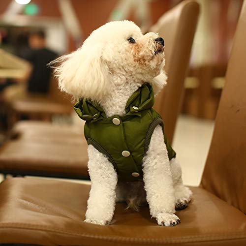 Hondenjassen-Exclusive Dog Fashion | 4