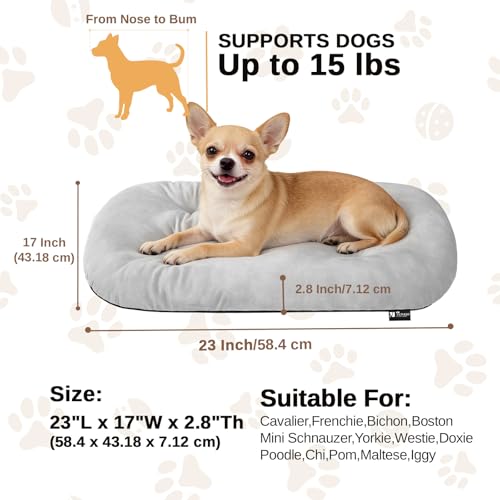 Image of Washable Oval Dog Bed for Small Dogs,High-Resilience,Light Gray | Non-Slip Bottom Prevents Sliding,Soft Plush Short Fur,Machine Washable Cushion,Ideal for Crates & Small Spaces,23 inchx17 inchx2.8 inch