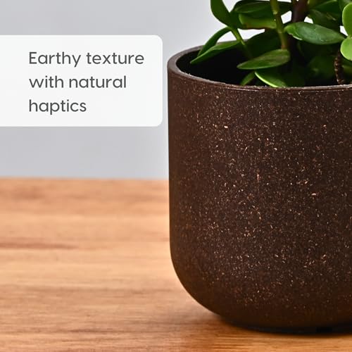 Image of Eha Earth-Friendly Terrapod Planters for Home Decor | 3.5 Inch, Pack of 4 | Small Plant Pot Made with Rice Husk Biocomposite | Flower Pot for Living Room | Coffee