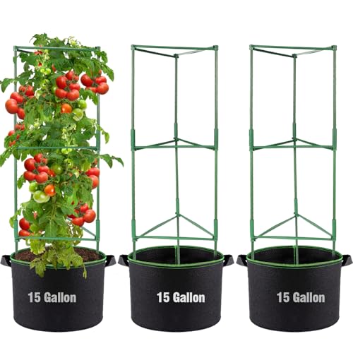 Image of ANPHSIN Sturdy Triangle Tomato Cage with Movable 15 Gal Grow Bags, 3 Sets