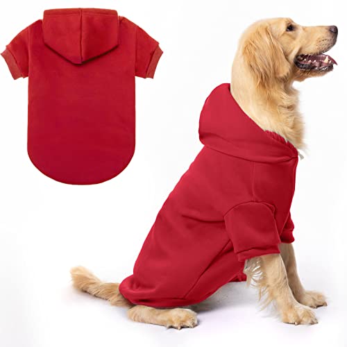 7 Reasons to Love Your Dog in a Red Hoodie A Must Read for Dog Owners