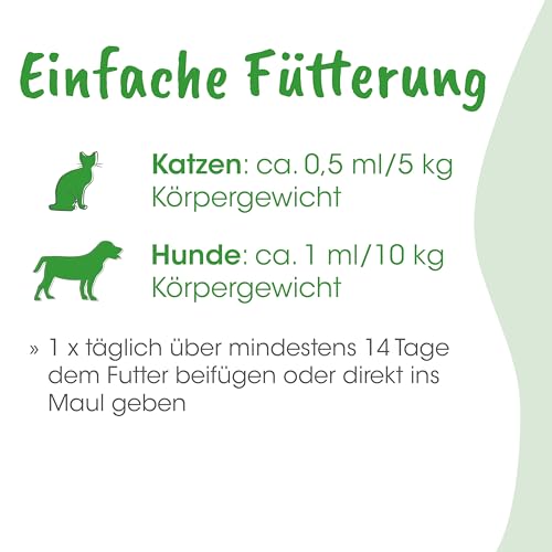 cdVet BronchialVital 500 ml – flüssiges Ergänzungsfuttermittel zur Unterstützung der Atemwege und Immunabwehr für Hunde und Katzen