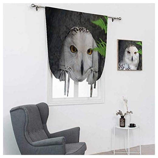 Trollkarl bondgårdsgardiner, mönster vit uggla tema djur gröna blad bärnsten ögon gåva häxeri tryck romerska persienner för fönster, vit grön svart, 106 cm x 183 cm