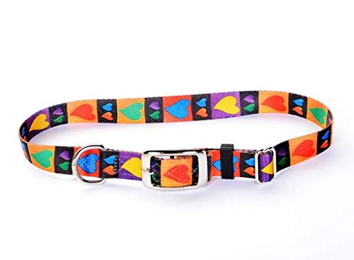 Tuff Lock Nylon Dog Collar, Rust-Free Quick Release Adjustable D Ring, Made in USA, Metal Buckle (Hearts Pattern)