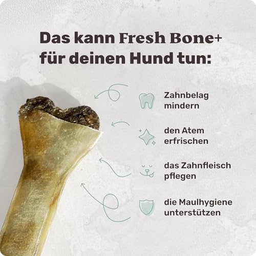 4-in-1 Zahnpflege-Kauknochen - Fresh Bone+ 1x Kauartikel (12cm) von mammaly - Kaustange aus Rinderhaut mit Salbei, Minze & Grüner Tee u.v.m. zur Mundhygiene - Kauspielzeug / -Knochen gegen Mundgeruch