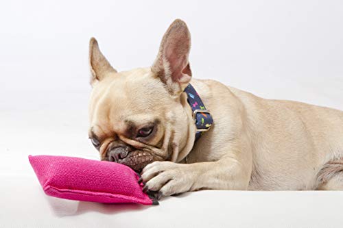 Dingo Hundespielzeug Beisswurst Agility Baumwolle mit Griff handgefertigt für Bisstraining Apportieren Schwimmend Schwimmfähig 15 x 6 cm Rosa 15601