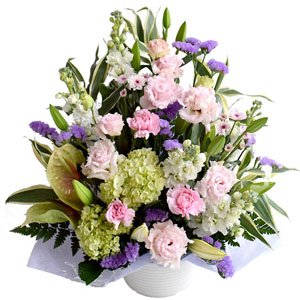 [veB }[Ch]   AWg     Ȃ   ފ ~   ֕S sNn -摜zMT[rXt(12/22-1/9͔zMs)-