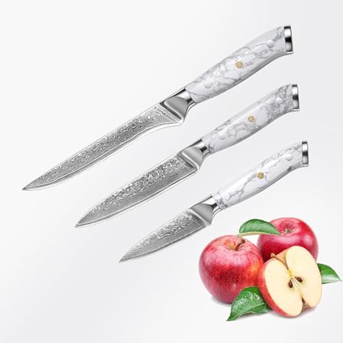 ZILNEHZ 9 Pcs Damascus Steel Kitchen Knives Set VG10 Chef Knife Set Premium Stainless Steel Knife Sets Ergonomic Design Beautiful & Elegant Marble Pattern Handle Dishwasher Safe