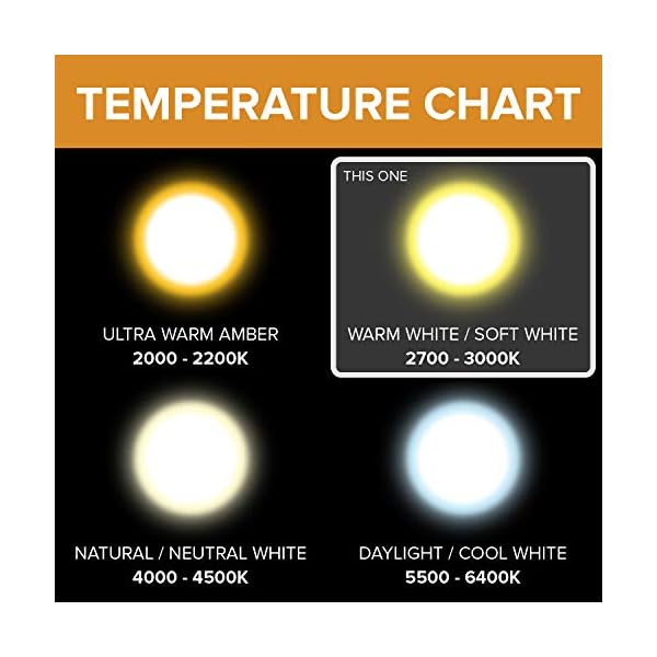12Vmonster Illumi Projektionen 10er Packung Klar Linse G9 40 Watt 240V Halogen Licht Lampen JCD Typ 240V Lampe 40W T4 G9… – Bild 9