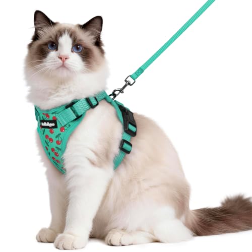 Image of rabbitgoo Cat Harness and Leash Set, Escape Proof Vest, Cherry Grove | Soft Breathable Mesh, Easy Adjustable Fit, Snap Buckles, Sturdy Clip, Reflective Strips, for Medium to Large Cats Walks, M