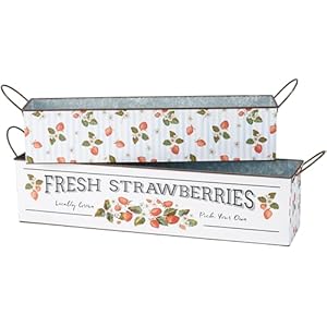 Primitives by kathy fresh strawberries bin set  urban country home decor