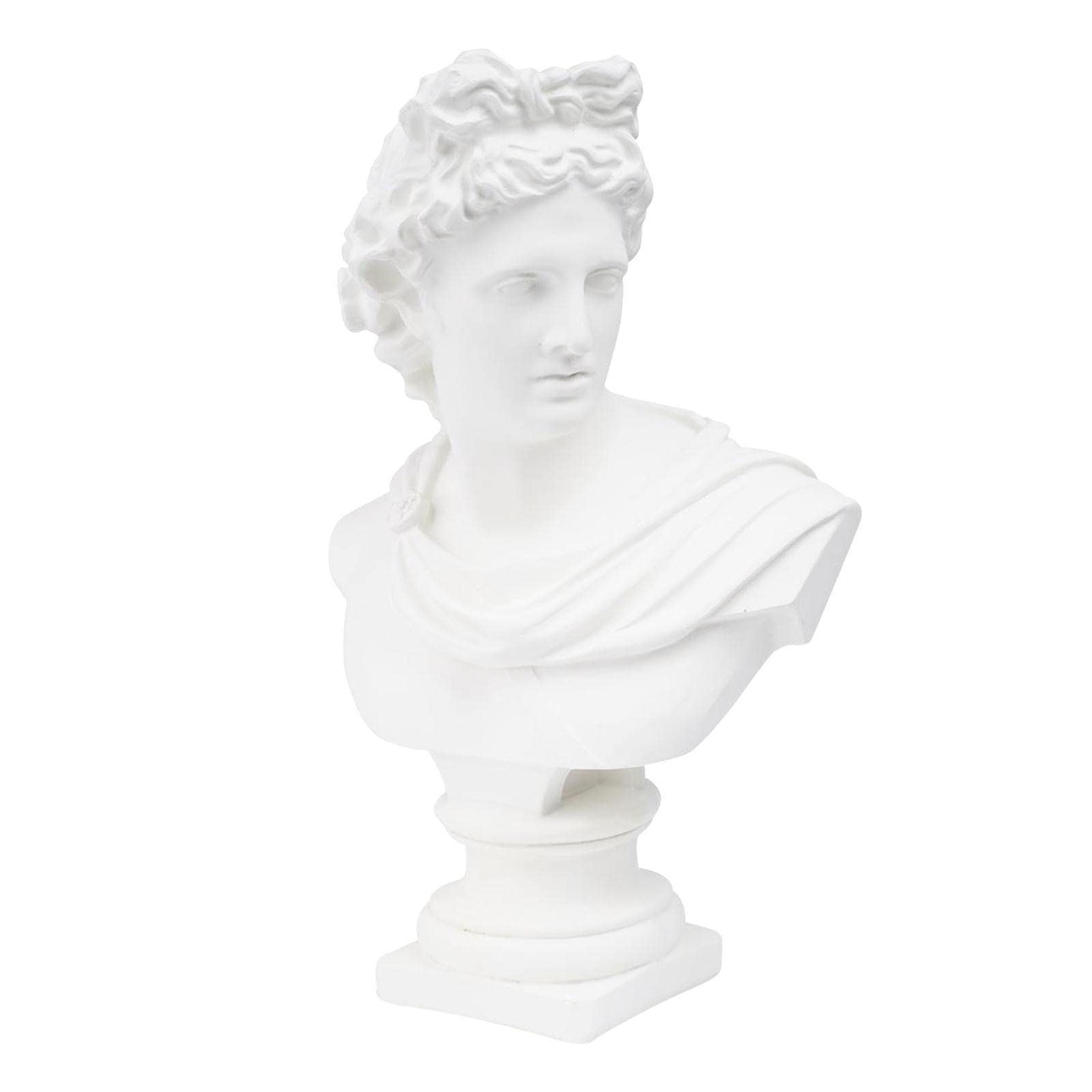 女性の頭部像 石膏製 約30cm Amazon.co.jp: 30CMギリシャの頭部の彫像のヨーロッパの石膏のスケッチ