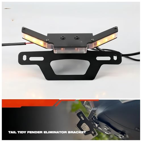 Support de plaque d'immatriculation pour CFMOTO 450NK 450SR SS Type B - 3