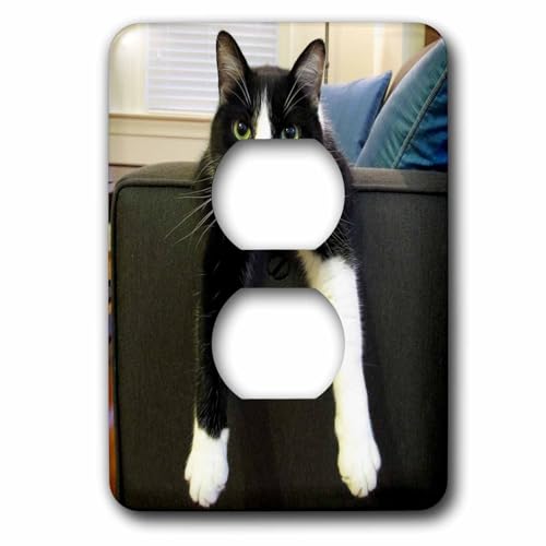 Cache prise Chat 3dRose lsp_23450_6 déco salon ou chambre d'enfant moderne