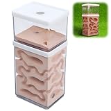 rloao Ant Nest Farm Natural Gypsum, 8 x 10 x 15 cm Transparent Ant Formicarium World House, Ants Habitat Feeding Box for Observing Habits Science Experiment