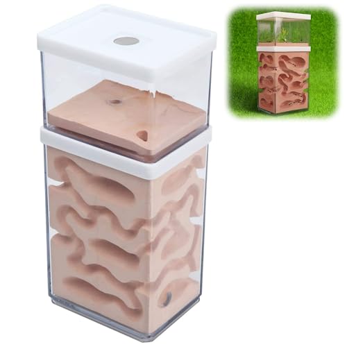 rloao Ant Nest Farm Natural Gypsum 8 x 10 x 15 cm
