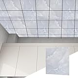 Cammeciso Placas Techo Desmontable,Cocina Y SóTano