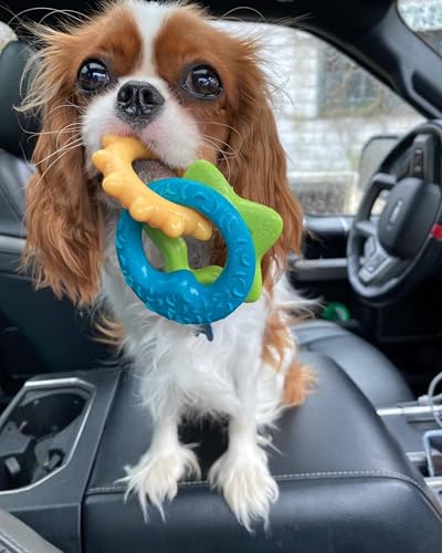 Nylabone, Kauspielzeug für Welpen und Zahnpflege-Spielzeug für zahnende Welpen, Kauspielzeug, für kleine Welpen bis 11kg, für sanft kauende/zahnende Hunde, Bacon-Geschmack, Spielzeugring für Welpen