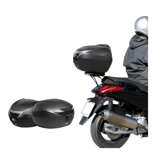 Dossier moto coussin arrière de rechange pour boîte de queue - 3