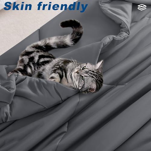 Cooling Comforter King Size, Double-Sided Cold Tech Fabric Quilted Bed Comforters Cooling Blanket for Hot Sleepers, Breathable Lightweight Summer Bedding, All-Season Ice Blanket, Dark Gray
