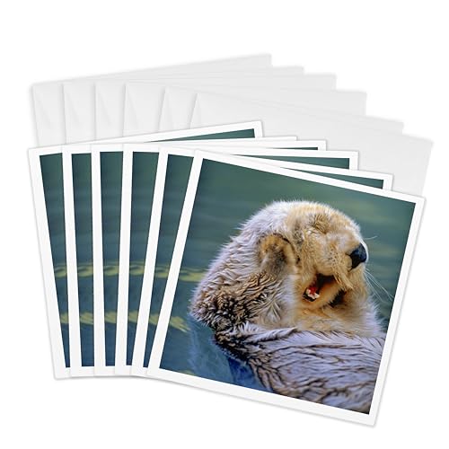 Cartes de vœux loutre de mer de Californie en lot de 6, format 15,2x15,2 cm pour vos messages
