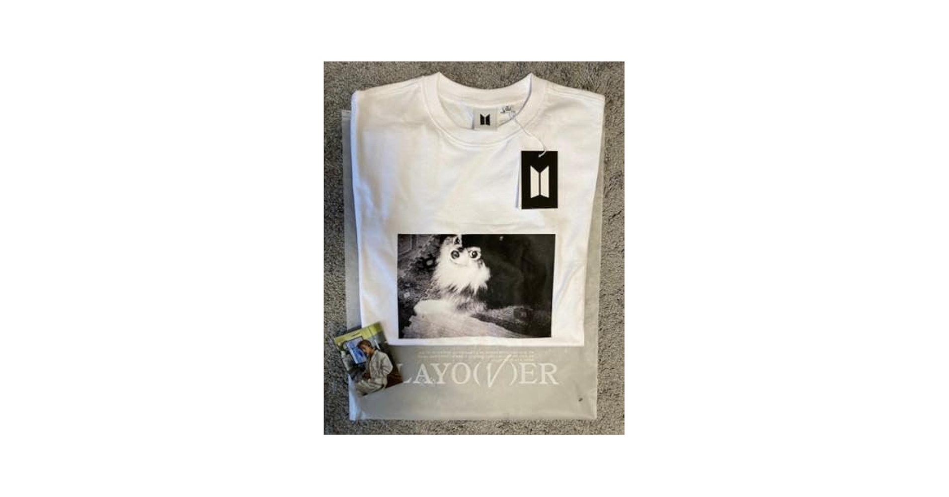 Amazon.co.jp: フォトカ有｜Layover Tシャツ(GrayTan)｜V キム