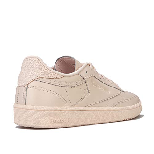 Image of Reebok Court Advance Sneakers for Men - Casual Tennis Mens Shoes Size 6 to 15