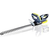 FANZTOOL Akku Heckenschere (20 V, 2 Ah Akku, 510 mm Schnittlänge, 16 mm Zahnabstand, 2,4 kg, Schnittkapazität von 10 mm, inkl. Akku und Ladegerät)