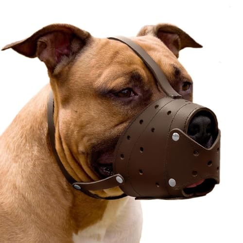 CollarDirect Leather Basket Dog Muzzle