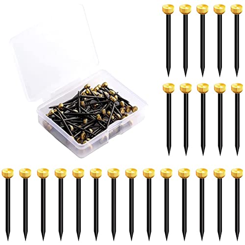 Image of 50 Pieces Picture Frame Nails Picture Hanging Nails Picture Frame Hangers Nails Black Steel Nails and Brass Head Picture Frame Hangers Nails(Small)